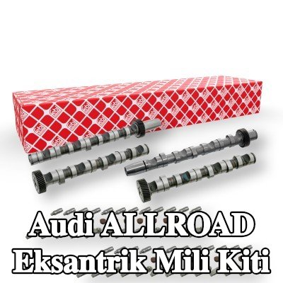 FEBI BILSTEIN Egzoz tarafı eksantrik mili kiti, Emme Tarafı, silindir için 1-6 — Audi Allroad