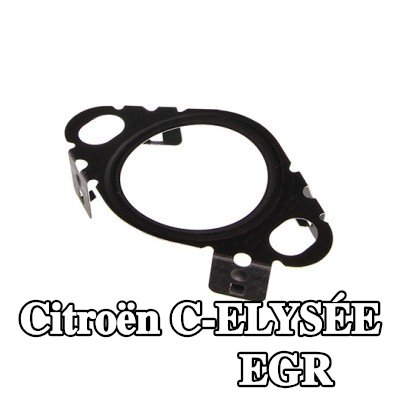 CITROEN/PEUGEOT حشية أنبوب صمام EGR — Citroën C-elysée