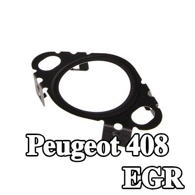 CITROEN/PEUGEOT حشية أنبوب صمام EGR — Peugeot 408