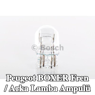 BOSCH Fren / arka lamba ampulü — Peugeot Boxer
