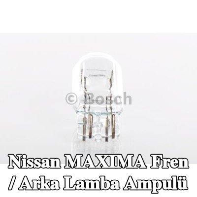 BOSCH Fren / arka lamba ampulü — Nissan Maxima