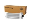 HELLA Intercooler — 2008 Ford Transit (2)