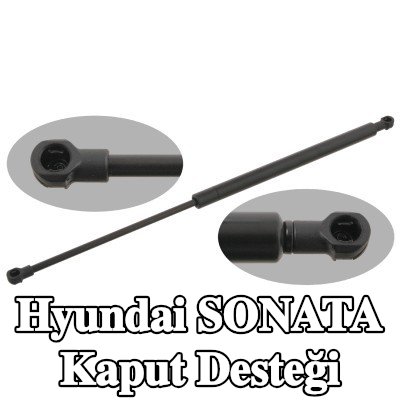 FEBI BILSTEIN Kaput destek çubuğu her iki taraf — 2002 Hyundai Sonata