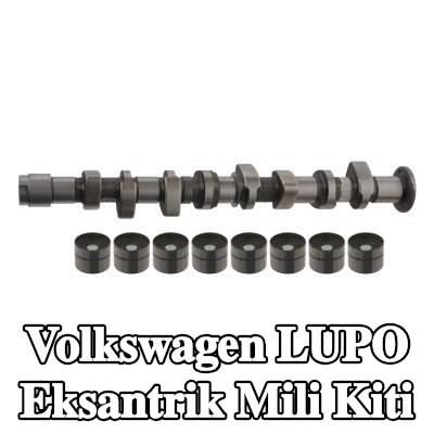FEBI BILSTEIN Eksantrik mili kiti — Volkswagen Lupo