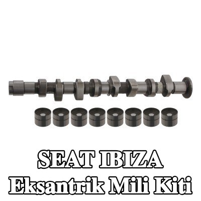 FEBI BILSTEIN Eksantrik mili kiti — 2000 SEAT Ibiza