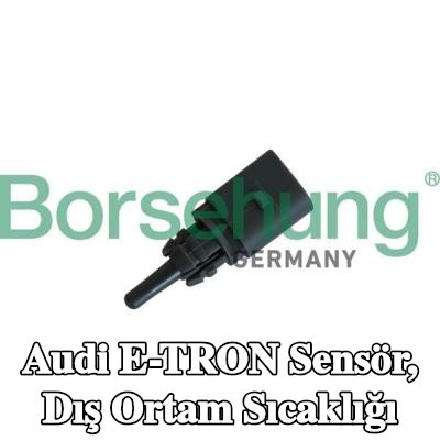Borsehung Sensör, dış ortam sıcaklığı — Audi E-tron