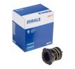 MAHLE Termostat 87°C — Audi A5 (1)