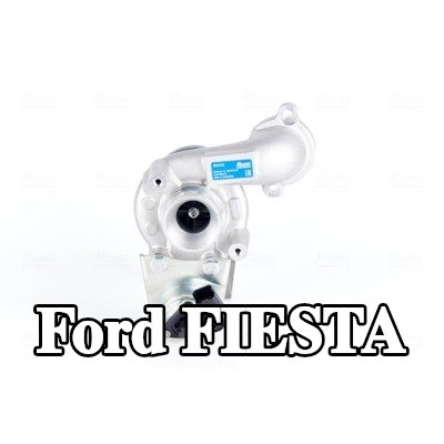 NISSENS مضخة التسريع، المكربن — Ford Fiesta