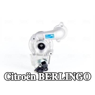 NISSENS مضخة التسريع، المكربن — Citroën Berlingo