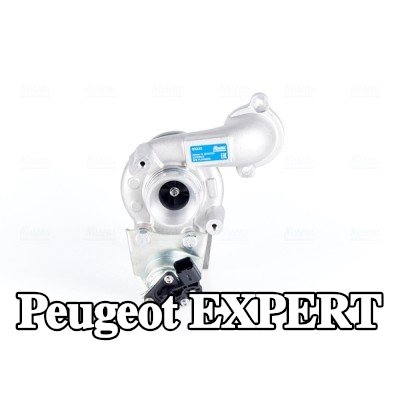 NISSENS مضخة التسريع، المكربن — Peugeot Expert
