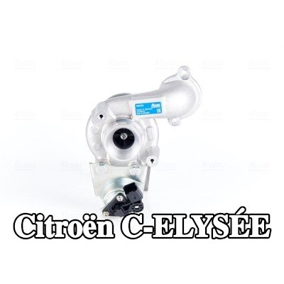 NISSENS مضخة التسريع، المكربن — Citroën C-elysée