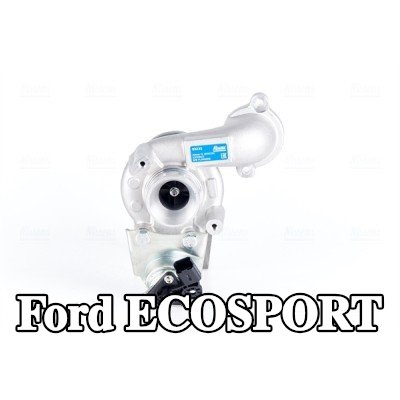NISSENS مضخة التسريع، المكربن — Ford Ecosport