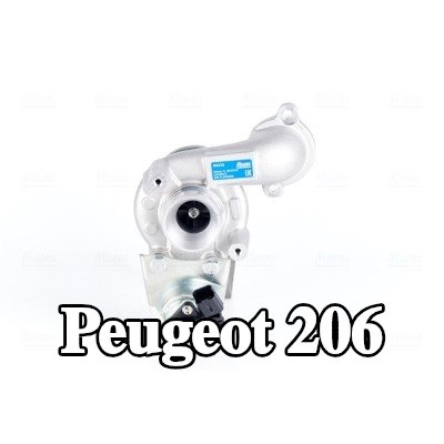 NISSENS مضخة التسريع، المكربن — Peugeot 206