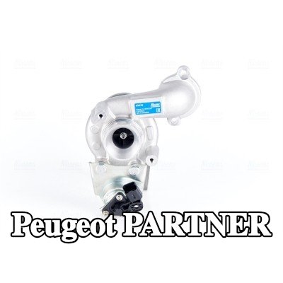 NISSENS مضخة التسريع، المكربن — Peugeot Partner