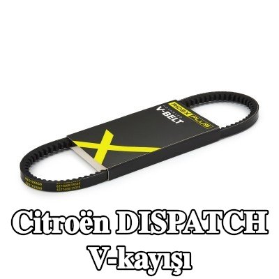 RIDEX PLUS V-kayışı 650mm — Citroën Dispatch