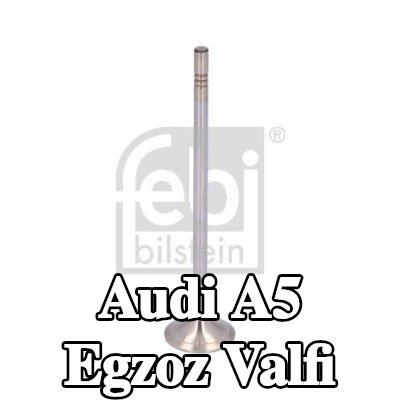 FEBI BILSTEIN Egzoz valfi — Audi A5