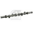 FEBI BILSTEIN Eksantrik Mili — Renault Clio (2)