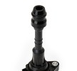 RIDEX Ateşleme bobini 12V — Nissan Nv 2500 (4)