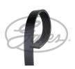 GATES Serpantin kayışı Micro-V ESTART, 1401mm, Number of ribs: 6 — Land Rover Range Rover (1)