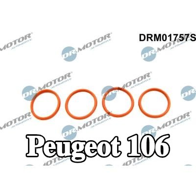 DR.MOTOR AUTOMOTIVE مجموعة حشيات، مشعب السحب — Peugeot 106