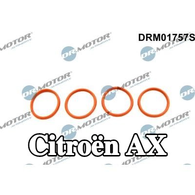 DR.MOTOR AUTOMOTIVE مجموعة حشيات، مشعب السحب — Citroën Ax