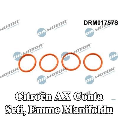 DR.MOTOR AUTOMOTIVE Conta Seti, emme manifoldu — Citroën Ax