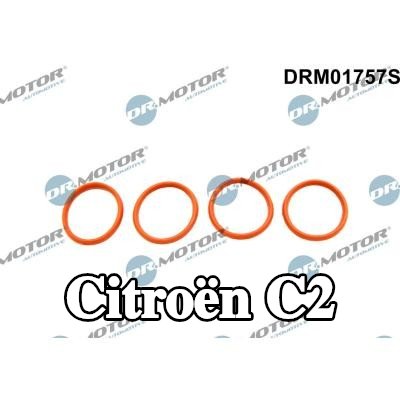 DR.MOTOR AUTOMOTIVE مجموعة حشيات، مشعب السحب — Citroën C2