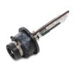 BOSCH Ksenon ampul — Lexus Ls (6)