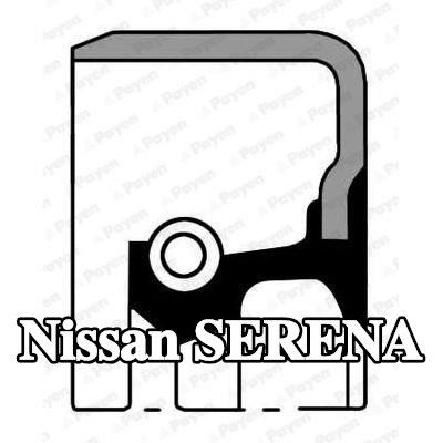 PAYEN حشية العمود، الترس التفاضلي — 1995 Nissan Serena