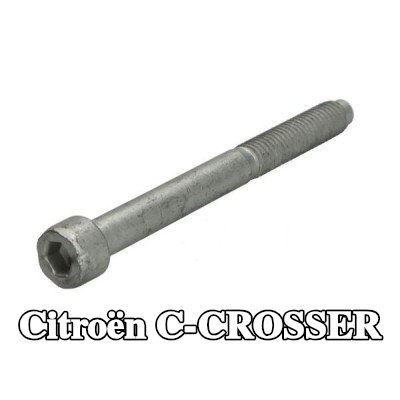 ENGITECH برغي مشبك الحاقن — Citroën C-crosser