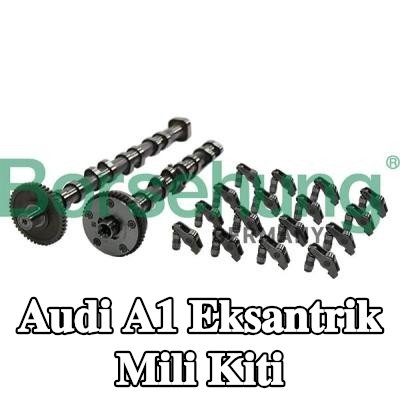 Borsehung Eksantrik mili kiti — Audi A1