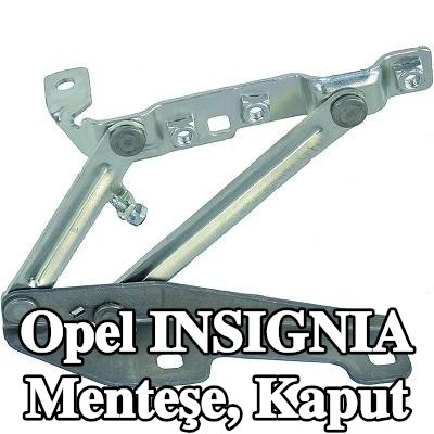 DIEDERICHS Menteşe, kaput — Opel Insignia