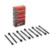 FAI AutoParts Cıvata Kiti, cylinder head M11 x 1.5, 165mm — Kia Optima (1)