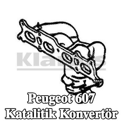 VEGAZ Ön katalitik konvertör, sabitleme/montaj malzemesi ile — Peugeot 607