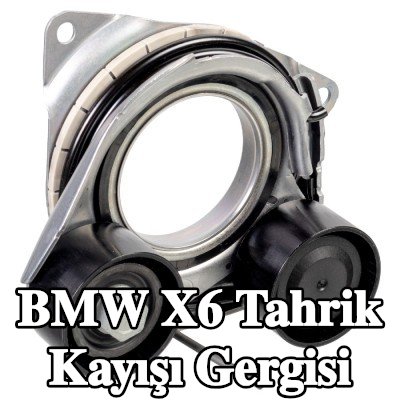 FEBI BILSTEIN Tahrik kayışı gergisi — BMW X6