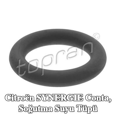 TOPRAN Conta, soğutma suyu tüpü — Citroën Synergie