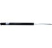 SACHS Amortisör Gaz Basınçlı, Teleskopik Amortisör — 2005 Ford Focus (7)