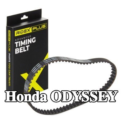 RIDEX PLUS عدد أسنان حزام التوقيت: 70, 667mm — 1998 Honda Odyssey