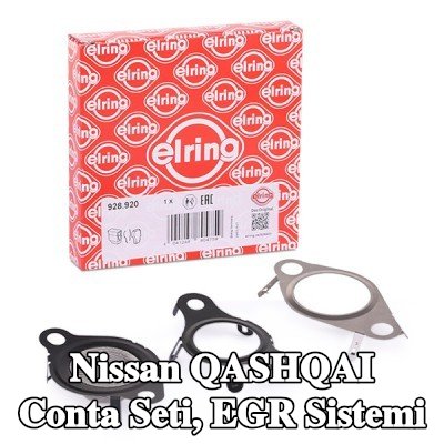 ELRING Conta seti, EGR sistemi — Nissan Qashqai
