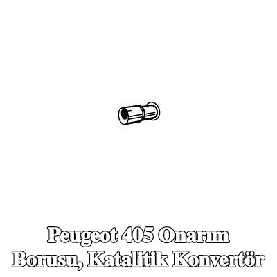 VEGAZ Onarım Borusu, katalitik konvertör — Peugeot 405