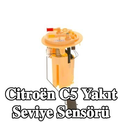 BOSCH Yakıt seviye sensörü montajı — 2002 Citroën C5