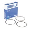 MAHLE Piston Segman Kiti — Renault Trafic (1)