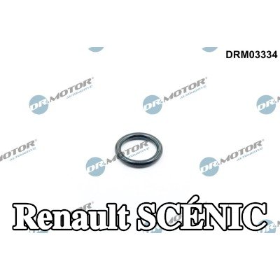 DR.MOTOR AUTOMOTIVE حشية، غطاء فتحة تعبئة الزيت — Renault Scénic