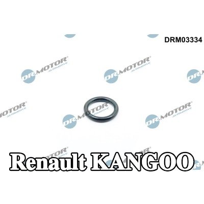 DR.MOTOR AUTOMOTIVE حشية، غطاء فتحة تعبئة الزيت — Renault Kangoo