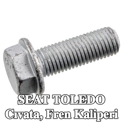 FEBI BILSTEIN Cıvata, ön aks fren kaliperi — 2002 SEAT Toledo