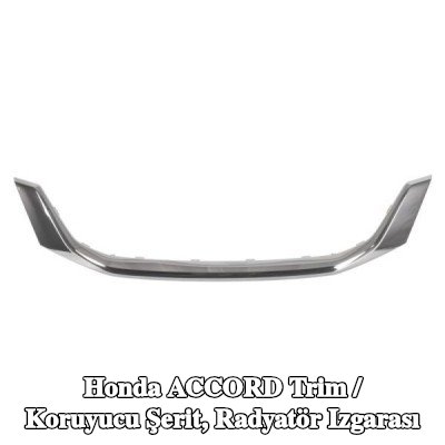 BLIC Trim / Koruyucu Şerit, radyatör ızgarası — Honda Accord