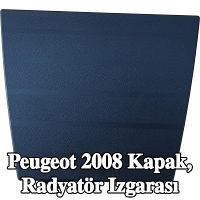 DIEDERICHS Kapak, radyatör ızgarası — Peugeot 2008