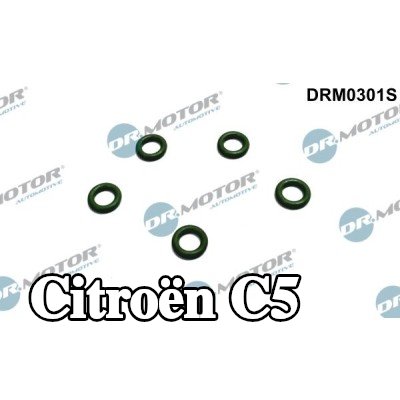 DR.MOTOR AUTOMOTIVE غطاء مانع للتسرب، فائض الوقود — Citroën C5