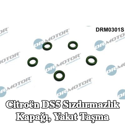 DR.MOTOR AUTOMOTIVE Sızdırmazlık Kapağı, yakıt taşma — Citroën Ds5