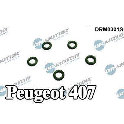DR.MOTOR AUTOMOTIVE غطاء مانع للتسرب، فائض الوقود — Peugeot 407